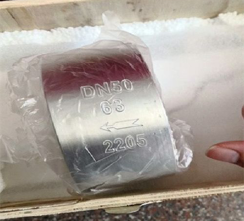 雙相鋼2205止回閥